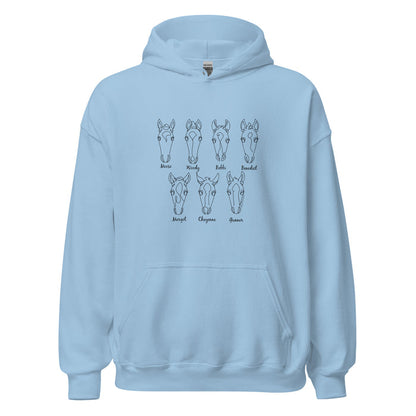 2026-foals-hoodie-by-katie-van-slyke-light-blue