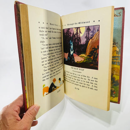 Book Trails: Through the Wildwood Volume 3 1946 Child Development Illustrated Hardcover