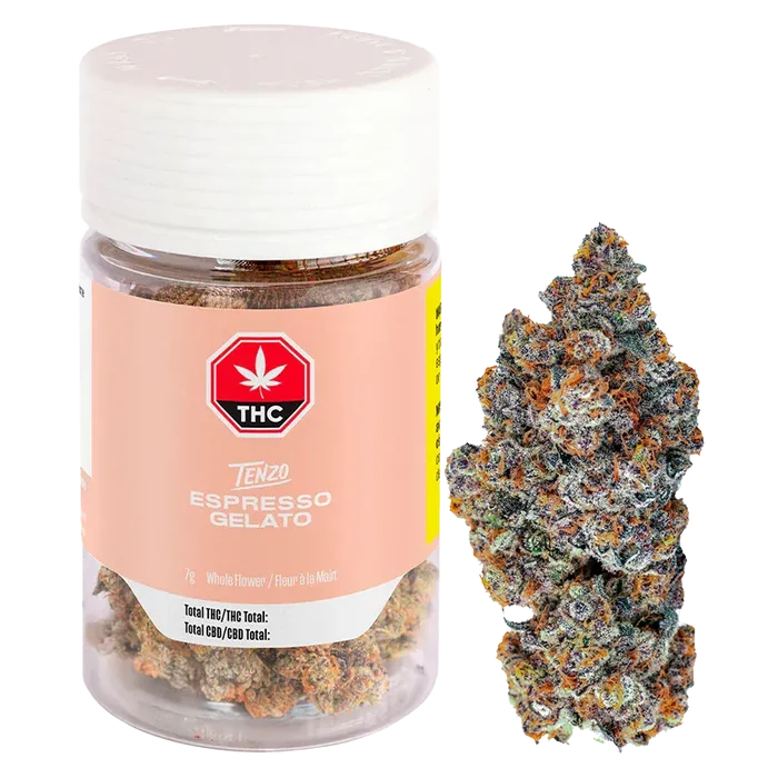Clear front view of a Tenzo Espresso Gelato jar and a single dense nugget on a white background.