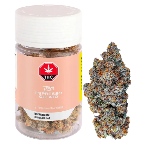 Clear front view of a Tenzo Espresso Gelato jar and a single dense nugget on a white background.