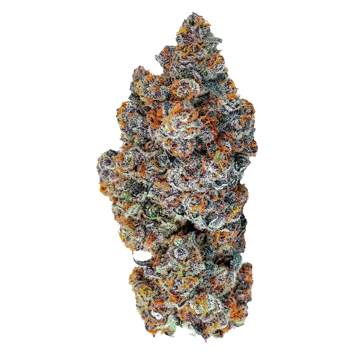 Close-up front view of a frosty, purple-and-orange bud labeled Espresso Gelato against a clean white background.