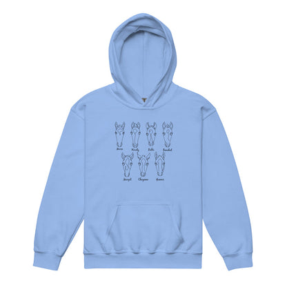 kids-2026-foals-sketch-hoodie-by-katie-van-slyke-carolina-blue