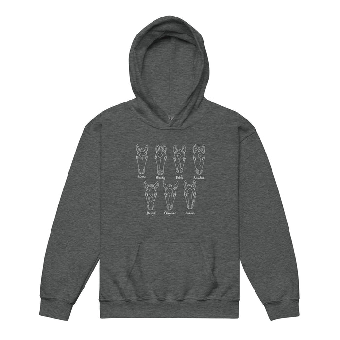 kids-2026-foals-sketch-hoodie-by-katie-van-slyke-dark-heather