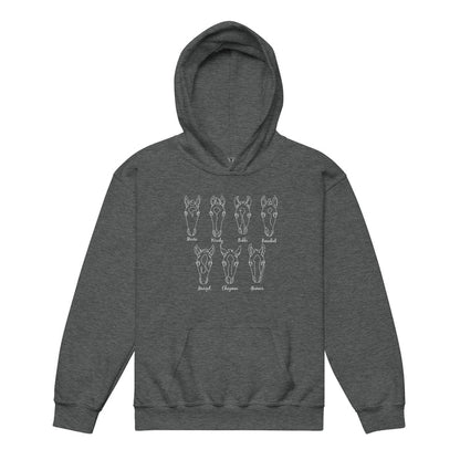 kids-2026-foals-sketch-hoodie-by-katie-van-slyke-dark-heather