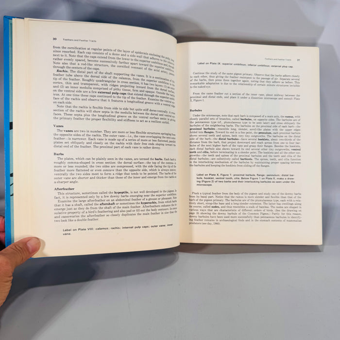 Natural History & Ornithology — Ornithology in Laboratory and Field (1970, Fourth Edition) — Olin Sewall Pettingill Jr. | Illustrated Hardcover, Natural History