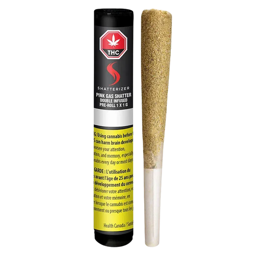 A front-facing shot of the Pink Gas Shatter Double Infused PR 1 x 1 g tube standing beside the pre-roll on a white background, label and yellow health warning visible.