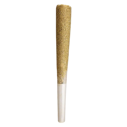 Vertical close-up of a single Pink Gas Shatter Double Infused PR 1 x 1 g pre-roll with a tapered, kief-coated cone and white paper filter against a white background