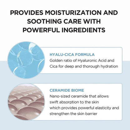 SKIN1004 Madagascar Centella Hyalu-Cica Moisture Cream 75ml SKIN1004 Skin Care