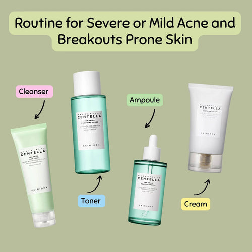 SKIN1004 Routine for Severe or Mild Acne and Breakouts Prone Skin SKIN1004 Routines & Sets