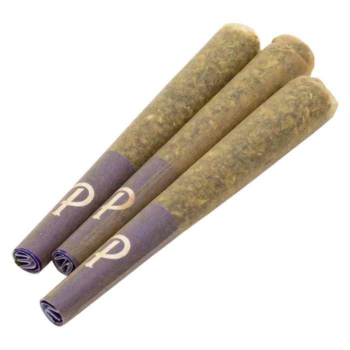 Angled close-up of three tapered Ultra Hi Infused PR 3 x 0.5 g pre-rolls with purple paper tips arranged in a fan on a white background